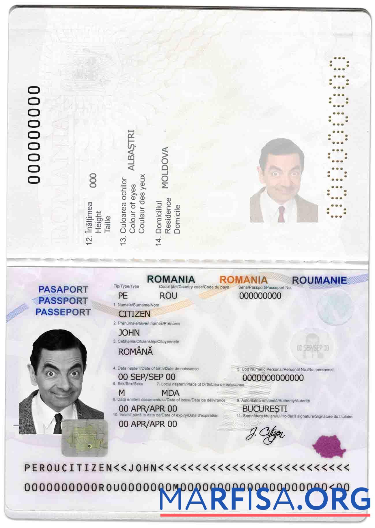 Printable Romania passport template
